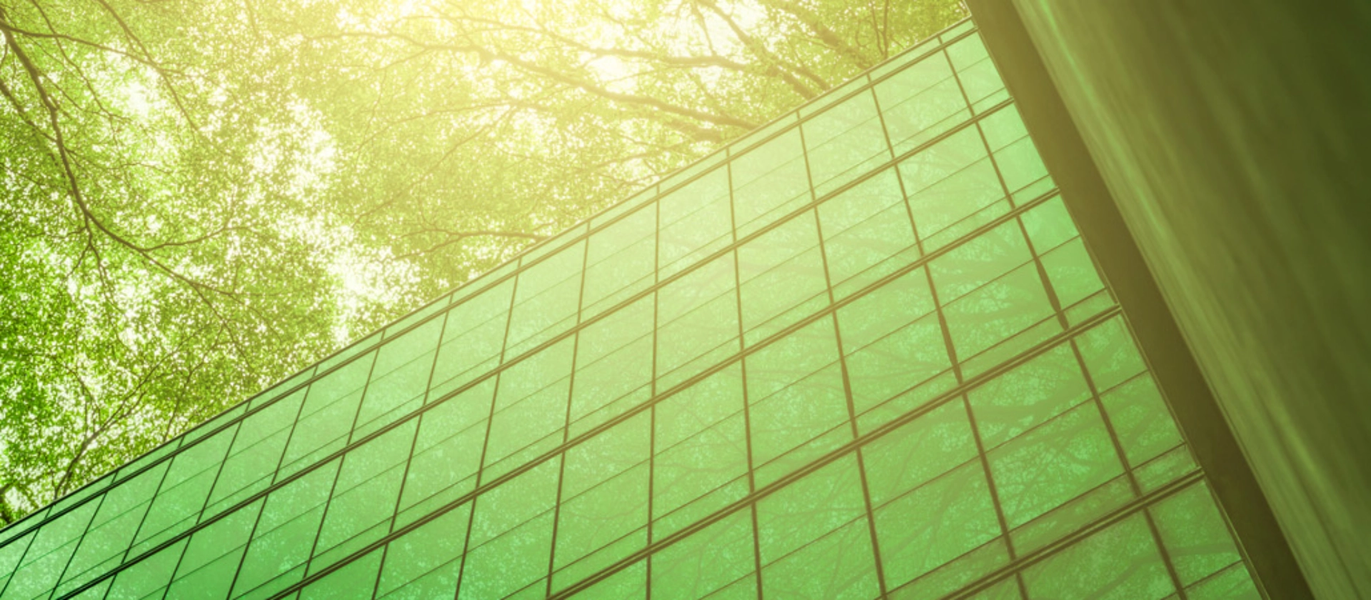 header_interview_klimaneutral_1920x450px