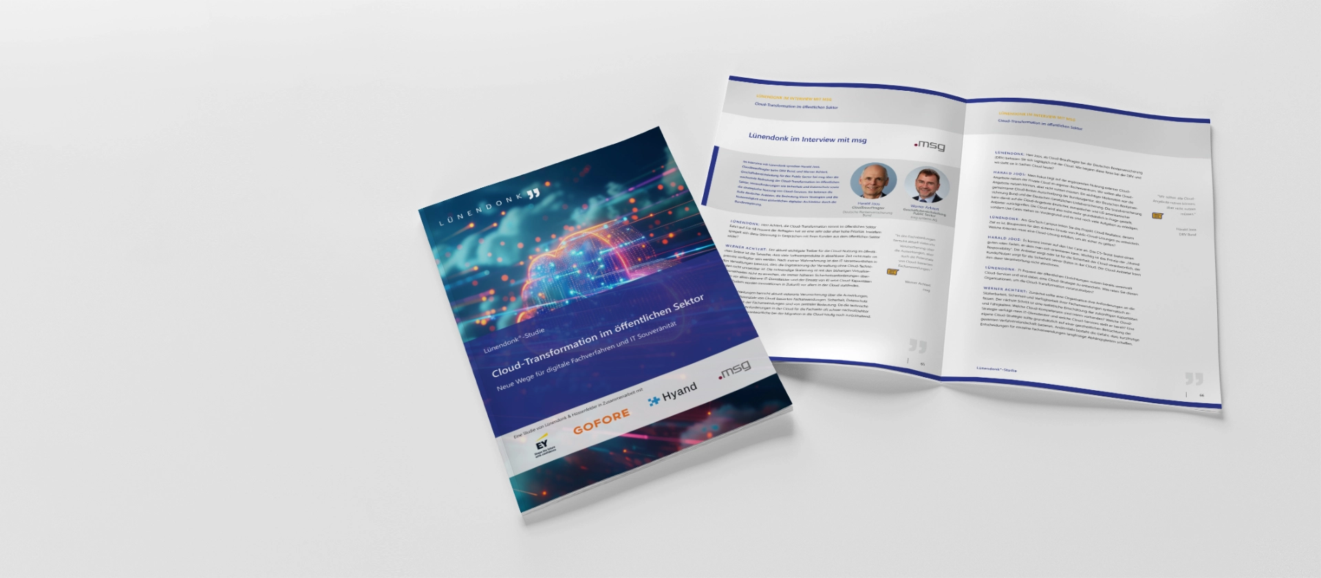 Ansicht Lünendonk Studie Public