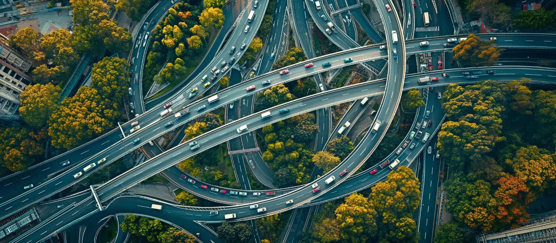 SAP Transportation Management