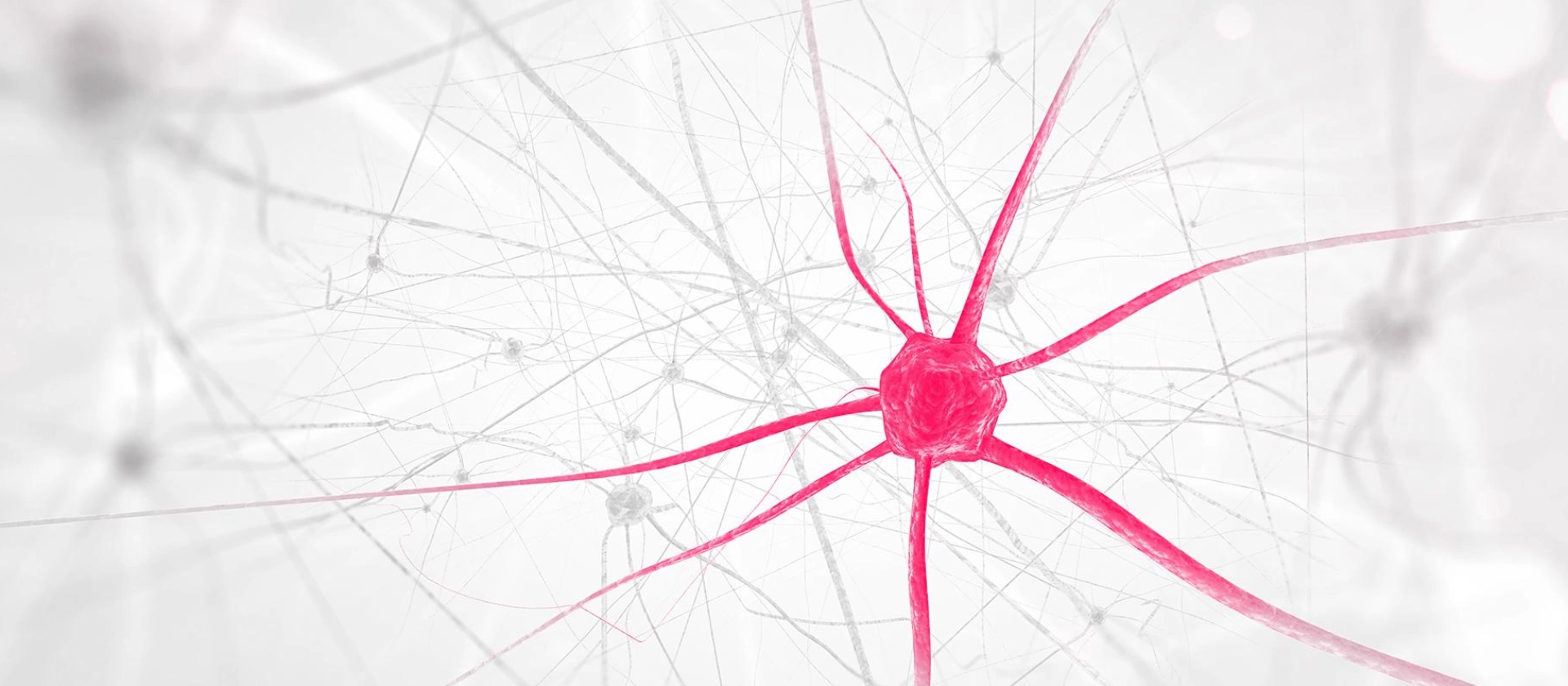 xt-machine-learning Hero