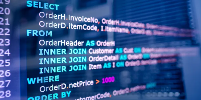 Unlocking SSRS: Untersuchung von SSRS mit SQL‑Abfragen