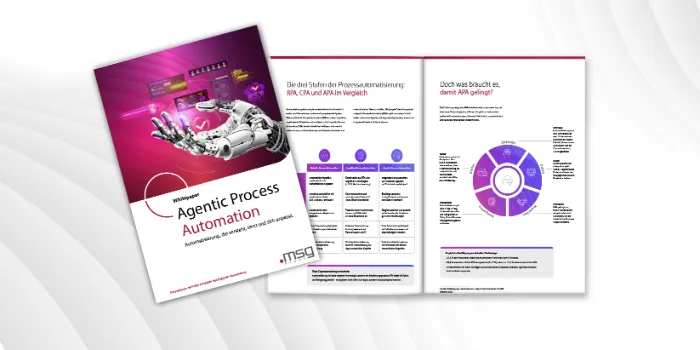 Agentic Process Automation: Automatisierung neu gedacht