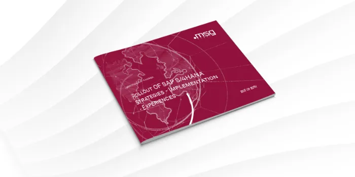 Rollout of SAP S/4HANA:   Стратегия - внедрение - опыт реализации   в разных странах (английский язык)