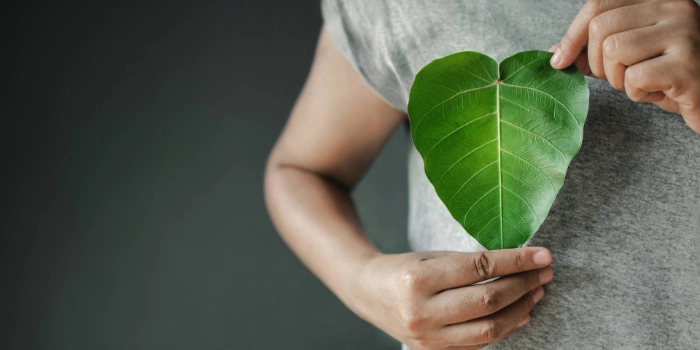 ESG-Kriterien: Verstehen, verankern, Vorreiter werden