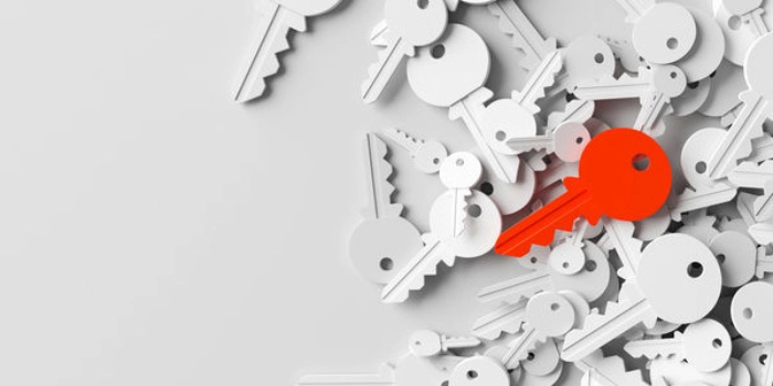 Software-​Identifikation mittels RxSWIN für Homologation