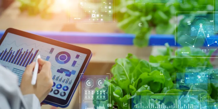 Softproviding rebrands as msg food solutions