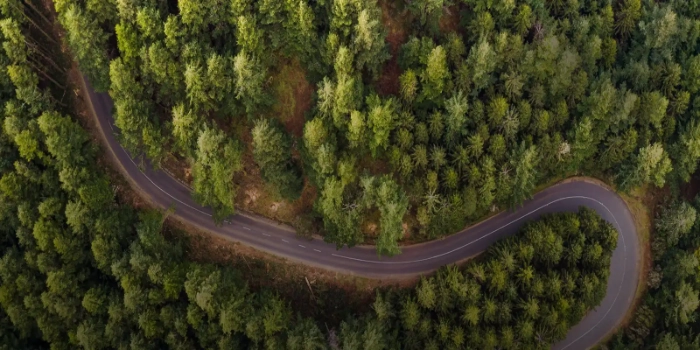 Corporate Social Responsability