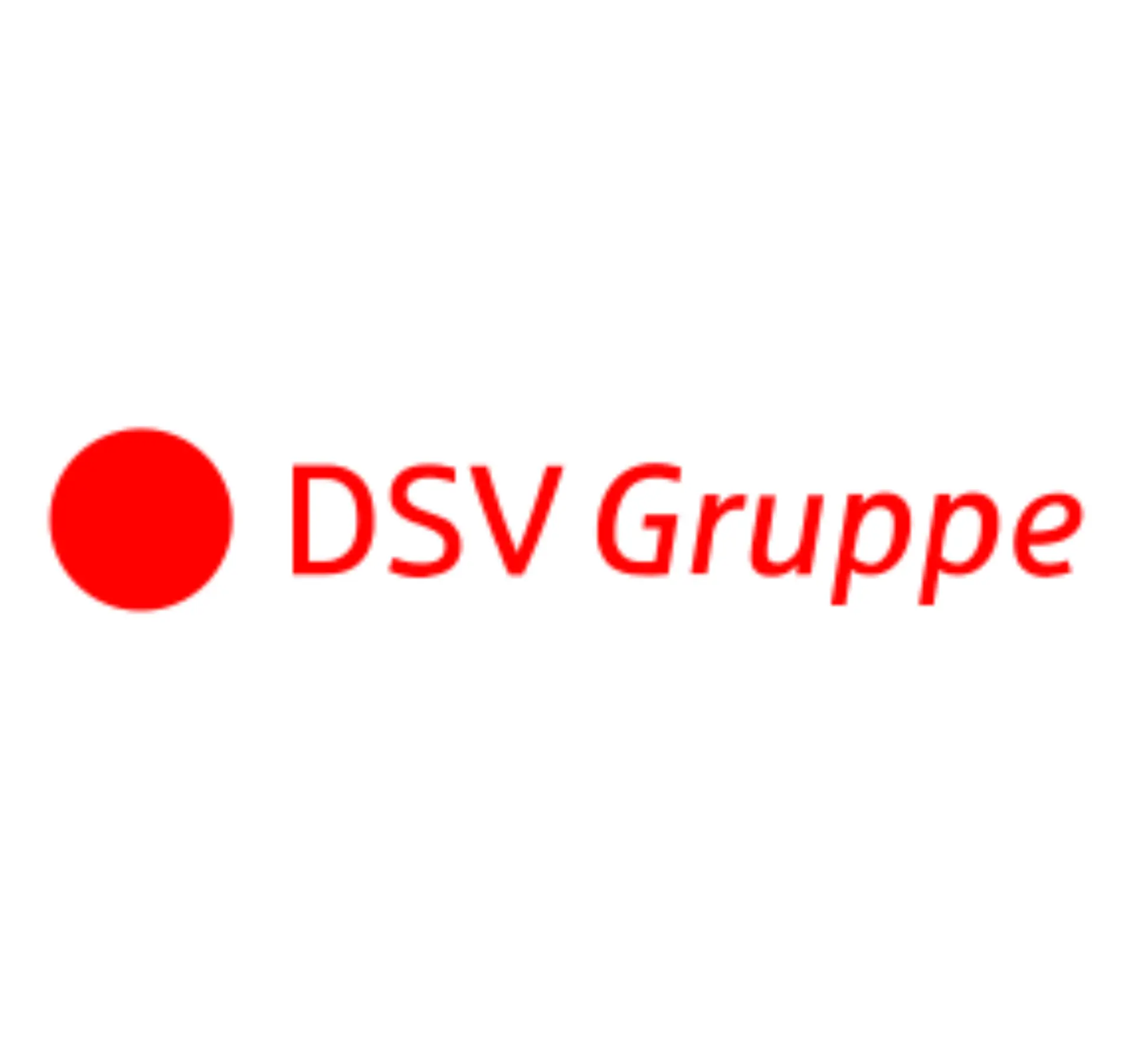DSV Logo