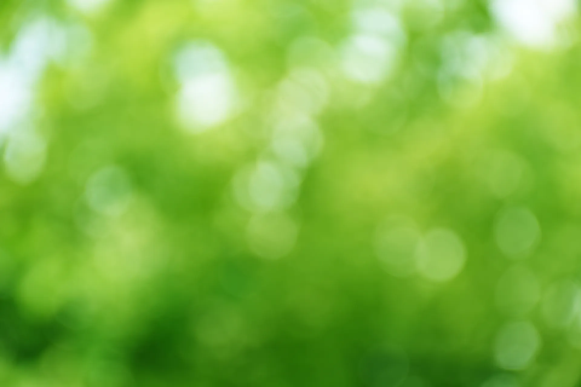 fade green background forest