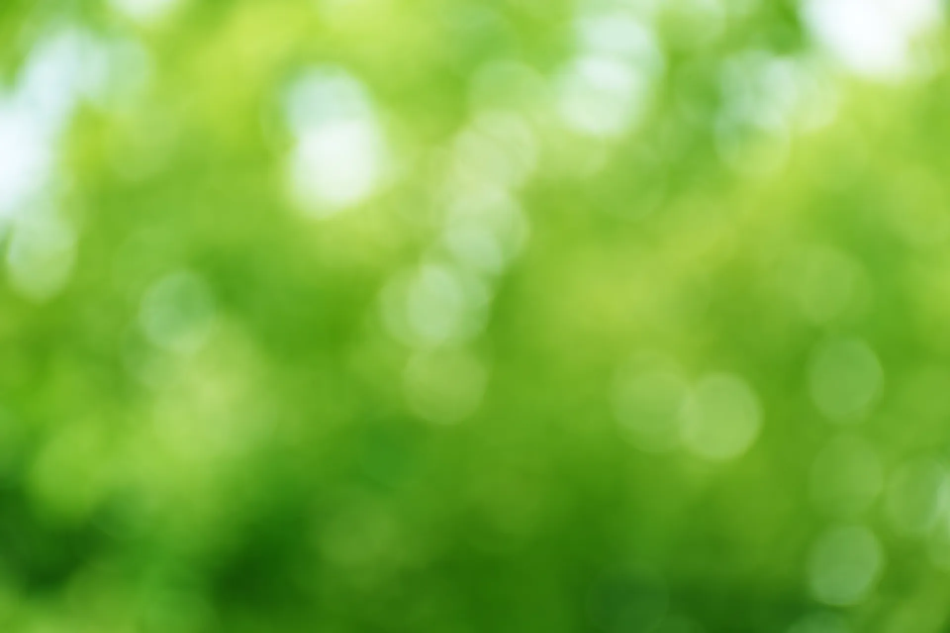 fade green background forest