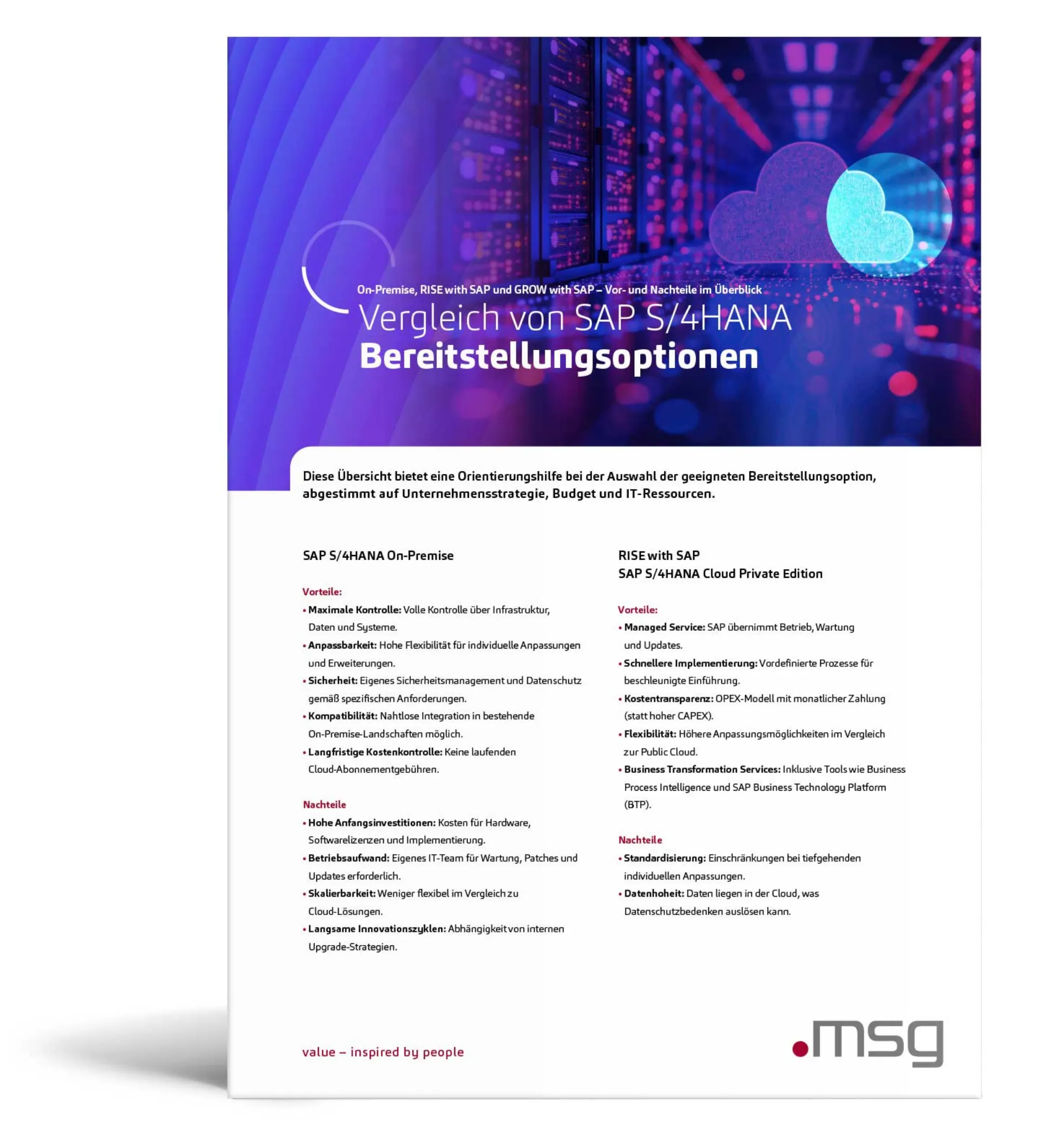 RISE with SAP Bereitstellungsoptionen Thumbnail Flyer DE