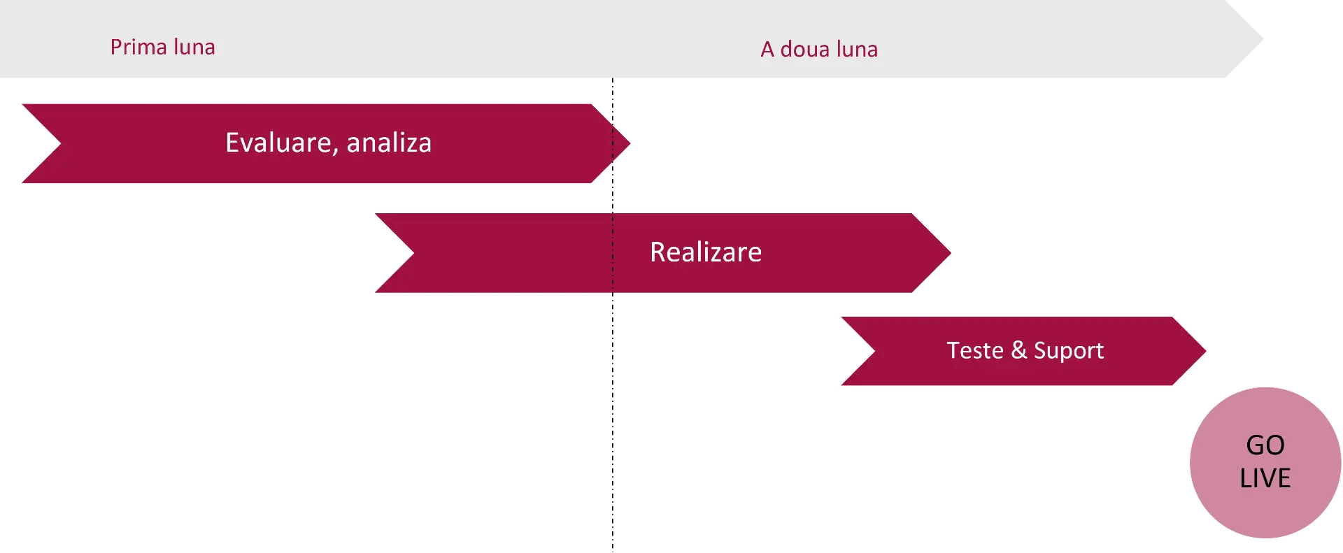 ro - e-transport msg plaut